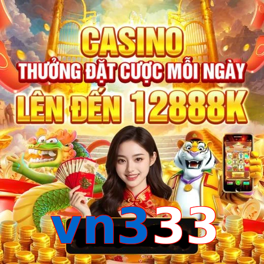 vn333